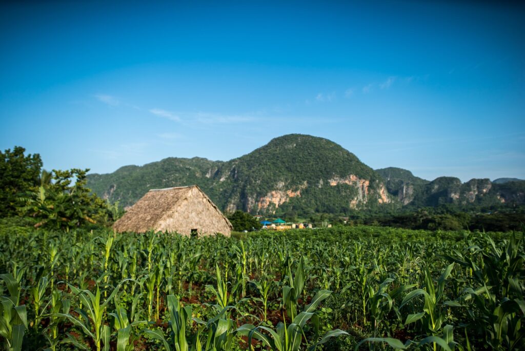 Valle de Viñales